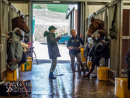 AK060423-87 - Alan King Stable Visit